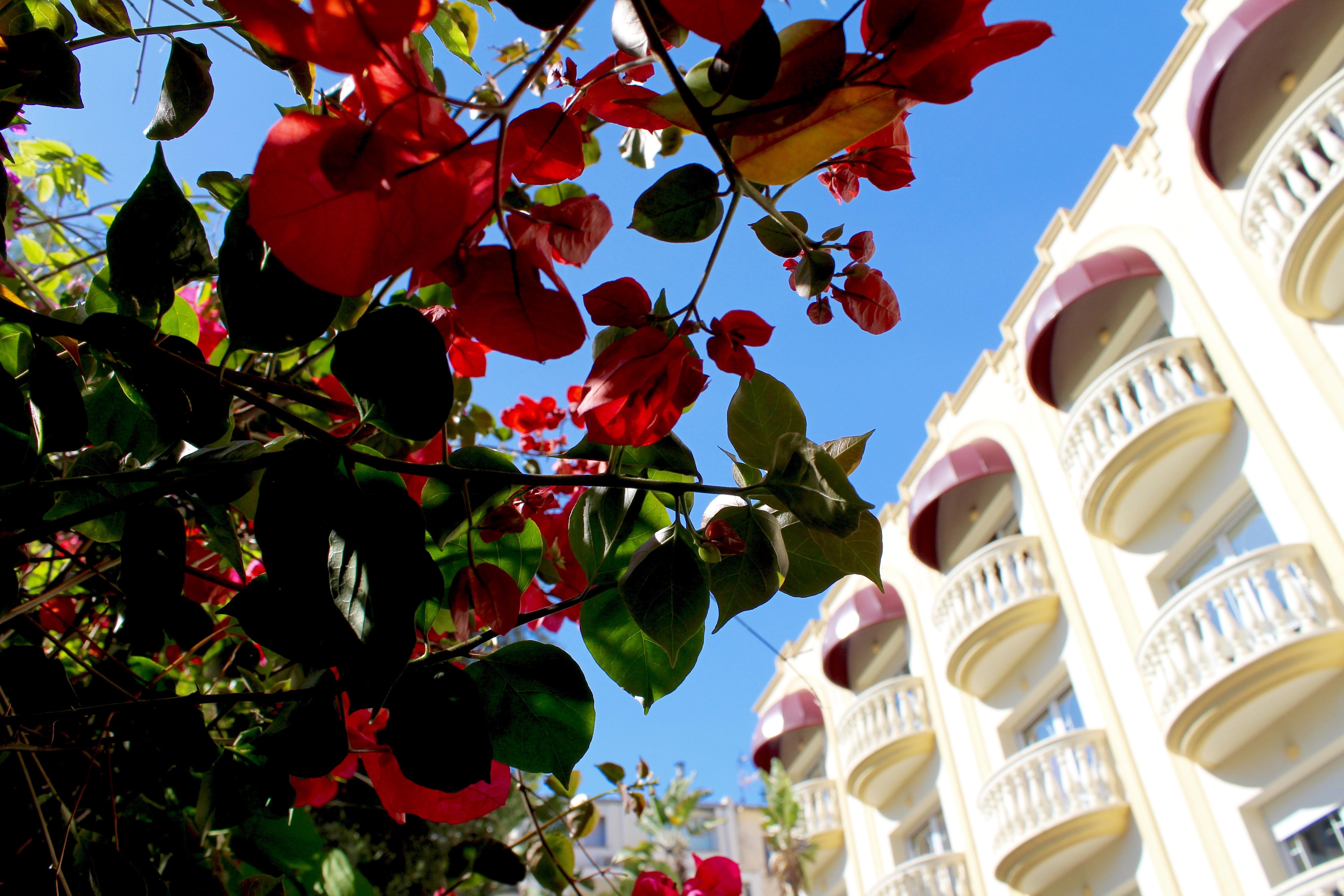 Urh Sitges Playa Hotel Kültér fotó